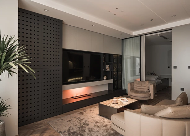 Minimalist Style Cabinets for The Whole House Customization