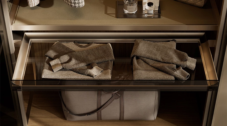 Modern Luxury Wardrobe with Tinted Glass and Slim Metal Frame Design