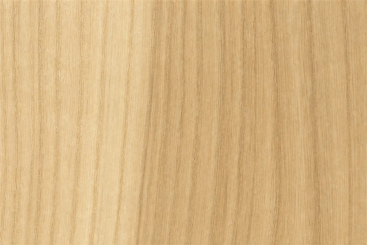 Ash wood grain and texture for furniture cabinet design
