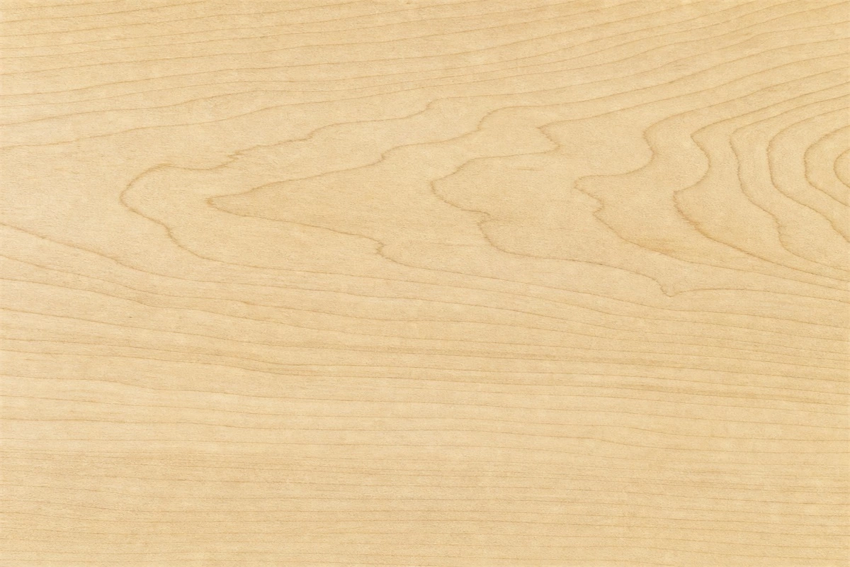 Maple wood grain for painted furniture and cabinet veneer