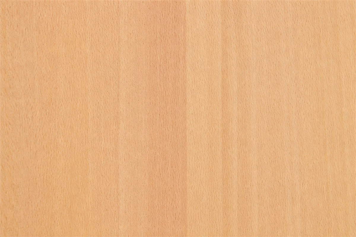 Beech wood furniture surface and cabinet material detail