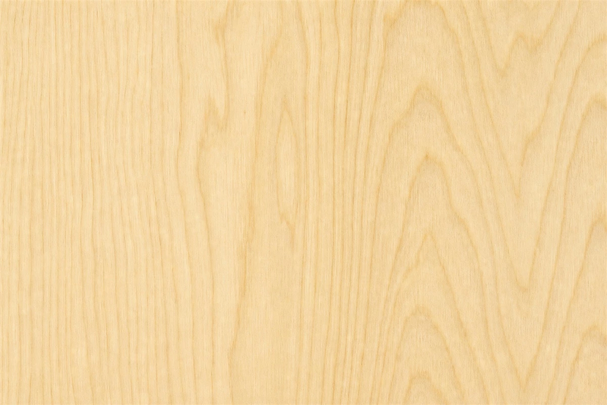 Birch wood grain and color for furniture cabinet applications